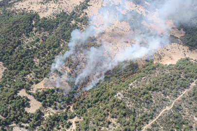 Antalya Kaş’ta da orman yangını çıktı