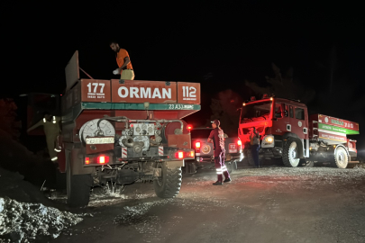 Hatay'da ormanlık alandaki  yangına müdahale ediliyor