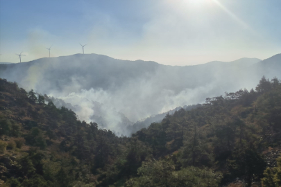 Hatay'da ormanlık alandaki yangına müdahale ediliyor