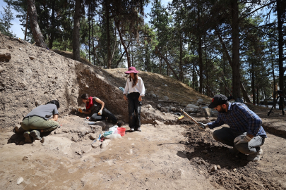 Yumuktepe Höyüğü'nde 9 bin yıllık  buğday türü