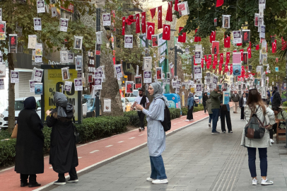 KOCAELİ'DE AĞAÇLAR KİTAP AÇTI