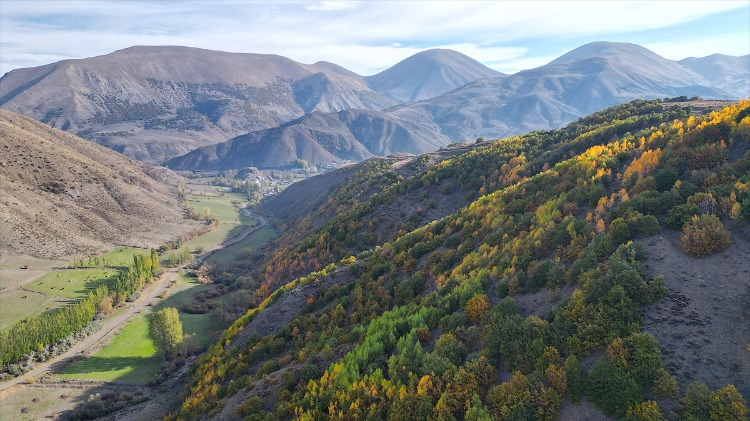 Kop Dağı Vadileri