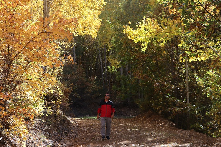 Kop Dağı Vadileri