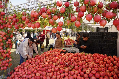 Halepçe'de Nar Festivali başladı