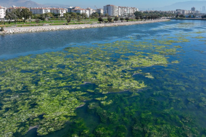 Bakanlıktan 'İzmir için nefes' projesi