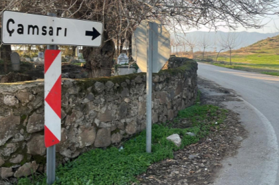 Hatay'da bir mahalle kuduz nedeniyle karantinaya alındı