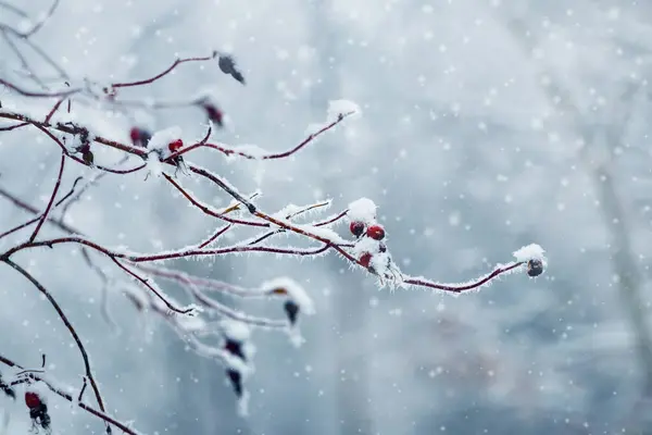 Meteoroloji’den 13 İl İçin Kar Uyarısı