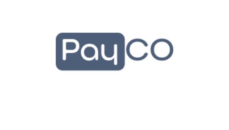 PAYCO Elektronik Para ve Ödeme Hizmetleri A.Ş.’ye Terörizmin Finansmanı ve Aklama Soruşturması: 11 Gözaltı