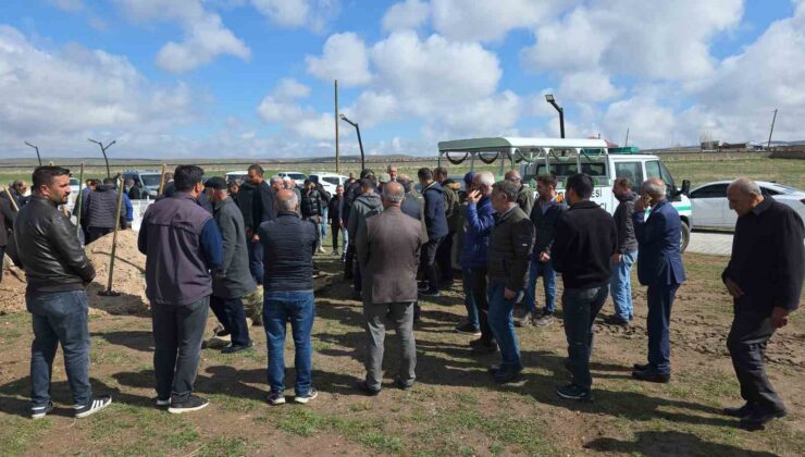 Köpeklerin saldırısında ölen çocuk toprağa verildi
