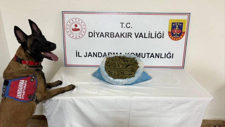 Diyarbakır’da Narkoterör Operasyonu: 23 Kilogram Esrar Ele Geçirildi