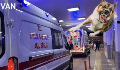 Van’da köpeklerin saldırdığı 5 yaşındaki çocuk hayatını kaybetti