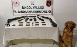 Bingöl’de Silah Kaçakçılığı Operasyonu: Çok Sayıda Mühimmat Ele Geçirildi