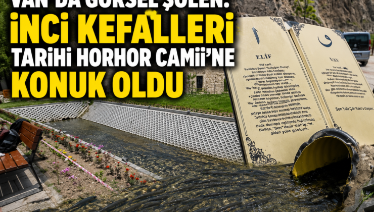 Van’da görsel şölen: İnci kefalleri tarihi Horhor Camii’ne konuk oldu