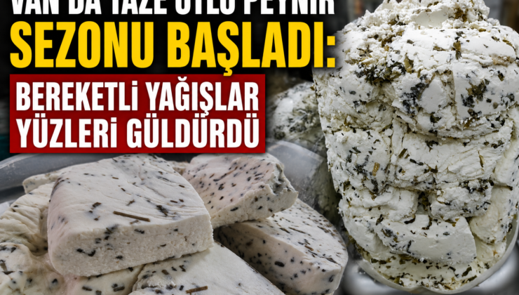 Van’da taze otlu peynir sezonu başladı: Bereketli yağışlar yüzleri güldürdü