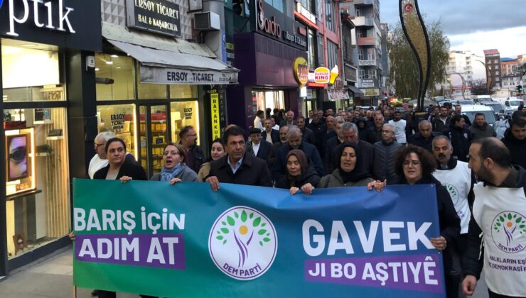 DEM Parti Kars’ta alanlara indi: “Barış için adım at, demokratik çözüme yol aç!”