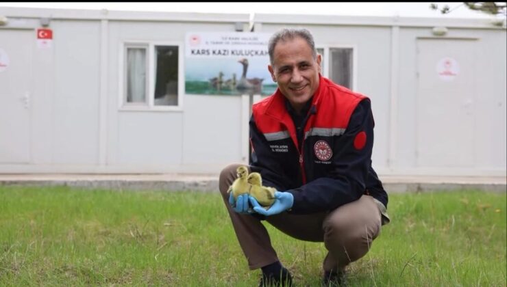 Yerel Değerimiz Kars Kazı Geleceğe Kanat Açıyor