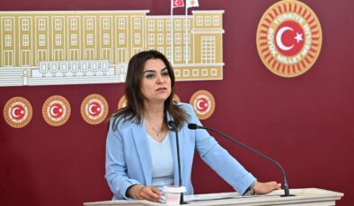 DEM Parti Kars Milletvekili Koçyiğit, Kars–Gümrü demiryolu hattı ve sınır kapılarını TBMM’ye sordu