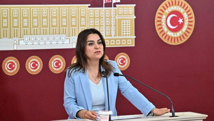 DEM Parti Kars Milletvekili Koçyiğit, Kars–Gümrü demiryolu hattı ve sınır kapılarını TBMM’ye sordu
