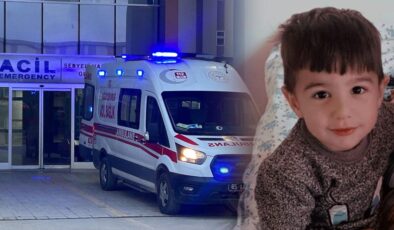 Köpek dehşetinde flaş gelişme: Belediye personeli gözaltına alındı