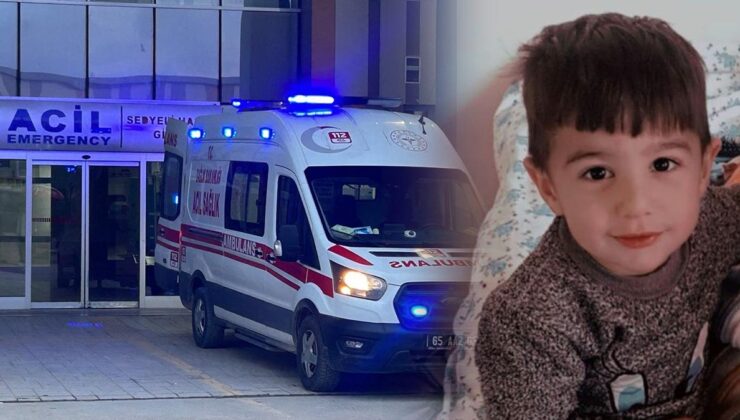 Köpek dehşetinde flaş gelişme: Belediye personeli gözaltına alındı