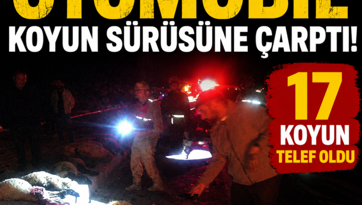 Van’da otomobil koyun sürüsüne çarptı: 17 koyun telef oldu