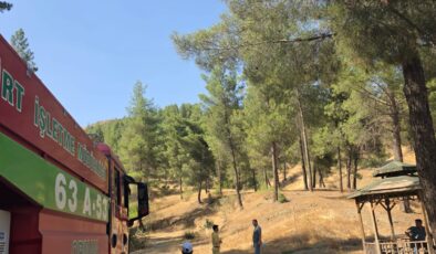 Siirt’te Orman Yangınlarına Karşı Sıkı Denetim: Baykan’da Ekipler Sahada