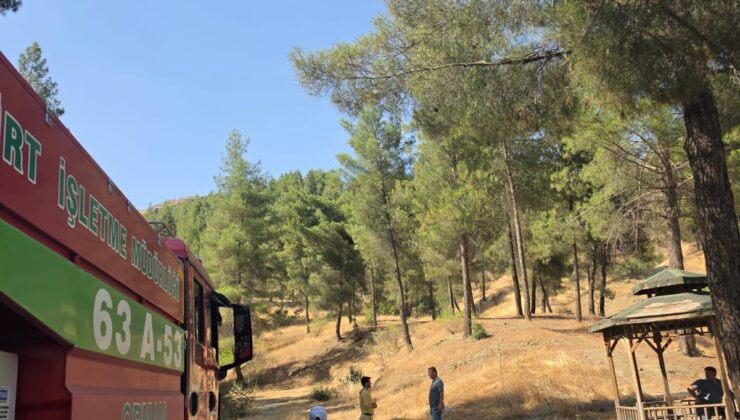 Siirt’te Orman Yangınlarına Karşı Sıkı Denetim: Baykan’da Ekipler Sahada